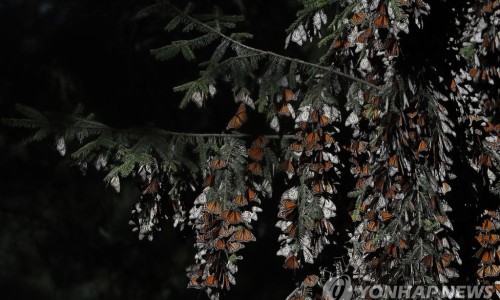 제왕환경 이미지