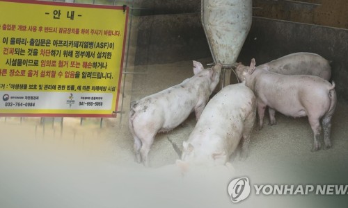 이엠티 이미지