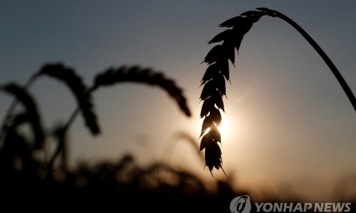 선진애드 이미지