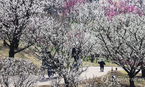 삼성정원 이미지