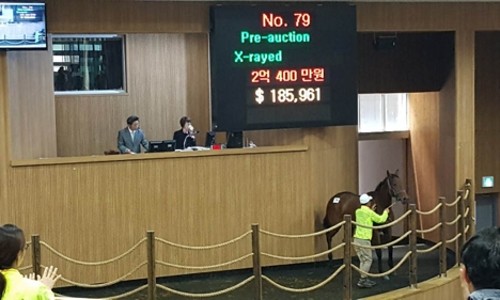 새마을로컬푸드협동조합 이미지