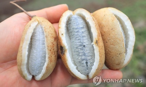 카페생각 이미지