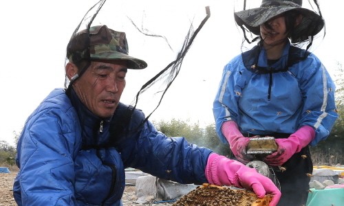 새마을로컬푸드협동조합 이미지