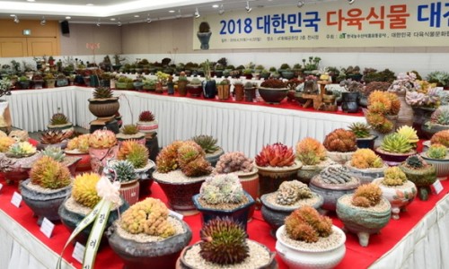 김밥&커피 이미지