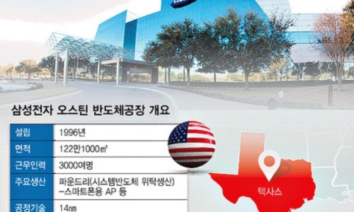 뉴욕미나리 이미지