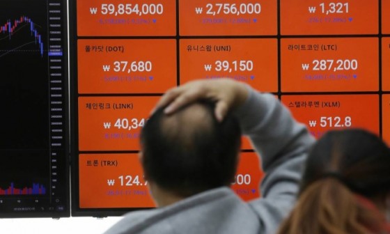 돈이랑김치랑 이미지
