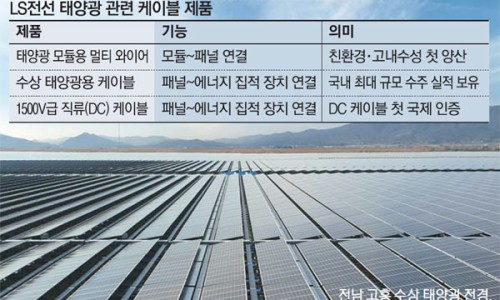 태양타이어 이미지