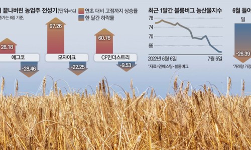 개미컴퍼니 이미지