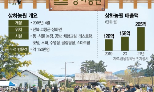 발효코리아 이미지