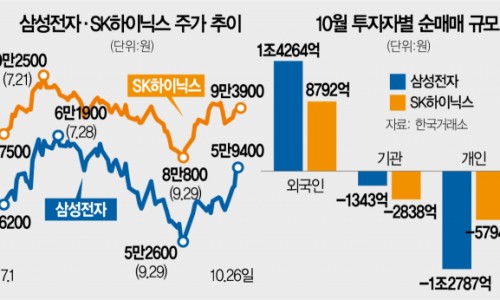 밧데리사자 이미지