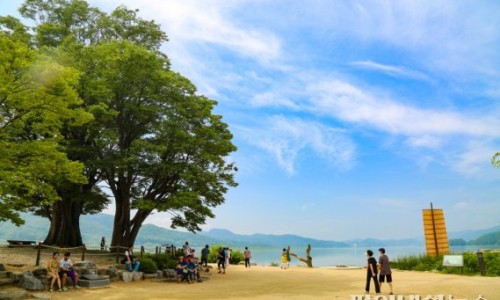 중앙자전거 이미지