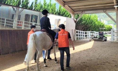 한국마사회 부산경남지역본부 이미지