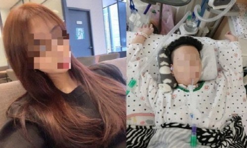 와이제이엔터프라이즈 이미지
