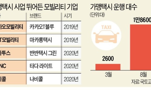 엠블링 이미지
