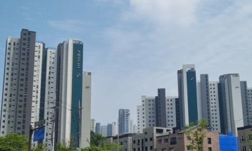 상록수 이미지