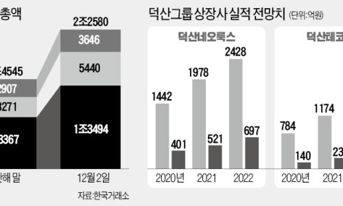 덕산네오룩스(주) 이미지