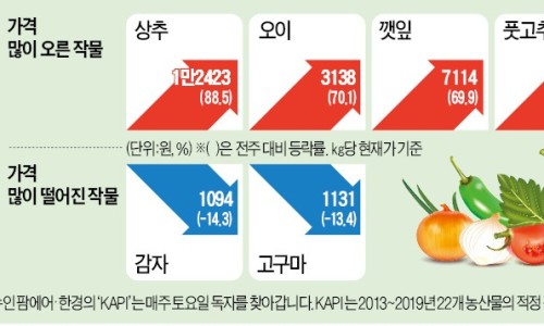 카카오농산물 이미지