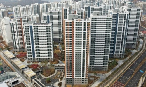 리겔세무회계 이미지