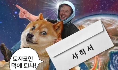 도지 이미지