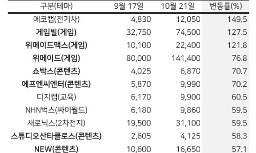 현대디에스 이미지
