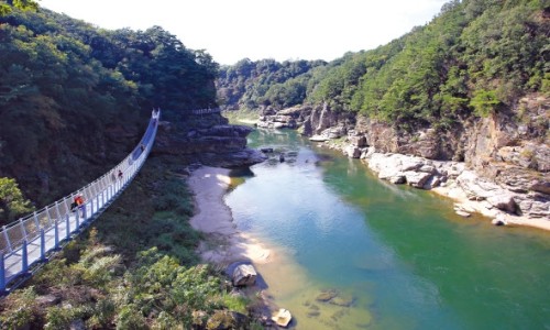 (주)여행이좋다 이미지