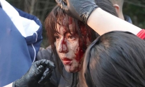 아랑고고 이미지