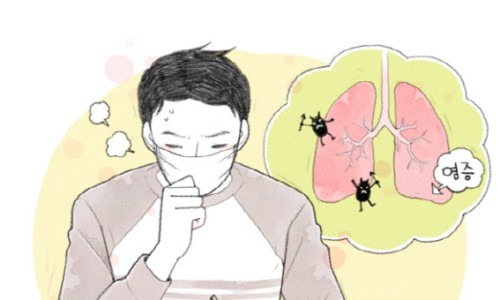 와이에스팜 이미지