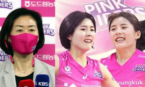 공자매 이미지