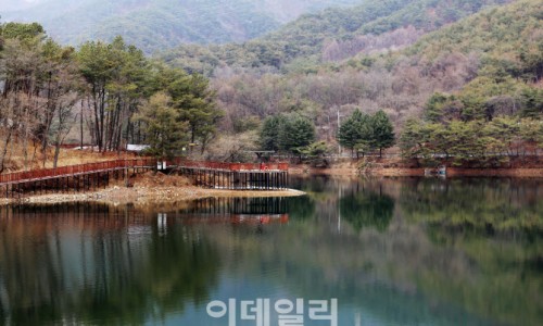 김주부 이미지