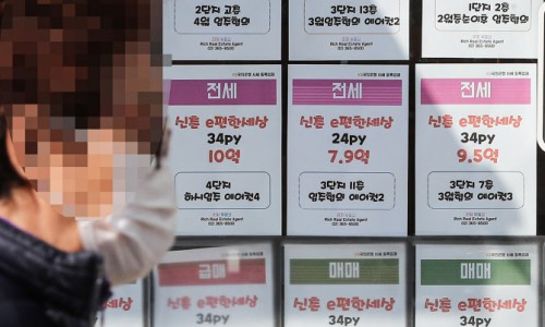 법무법인로하스 이미지