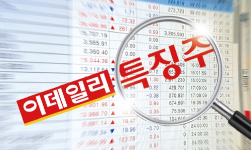 대한에스엔씨 이미지