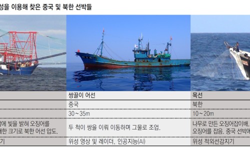 국제오징어 이미지