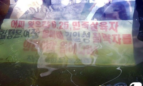 돼지세상 이미지