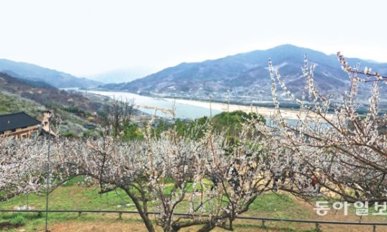 지리산내음 이미지