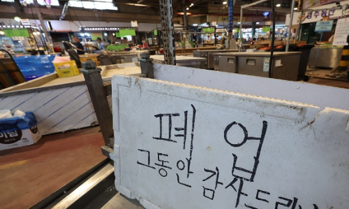 톤섬 이미지