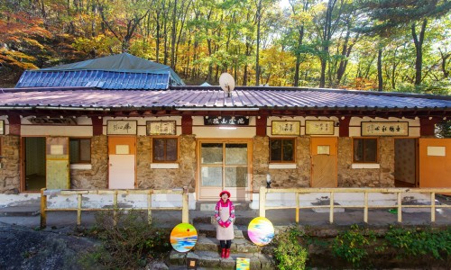 깊은산속옹달샘 이미지
