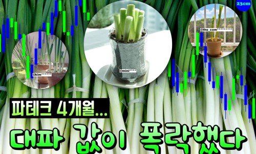 서안성농협하나로마트 이미지