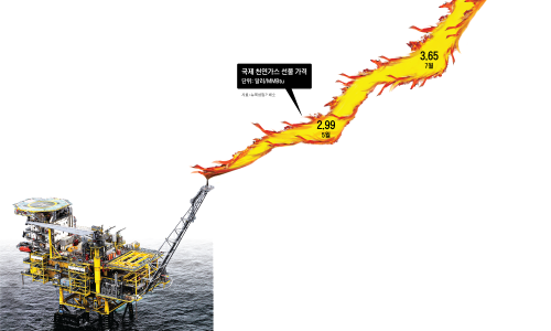 와이케이디 이미지