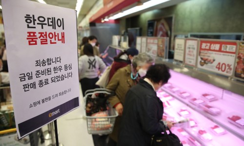 한우반마리 이미지