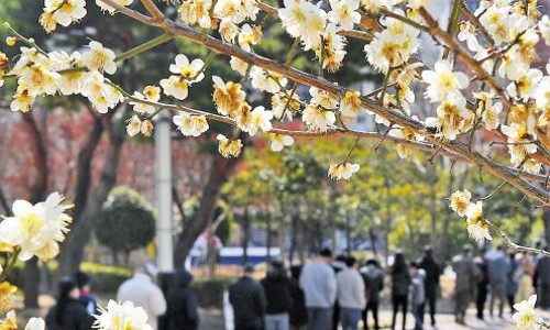오늘도;전 이미지