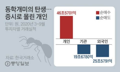 라임솔루션 이미지