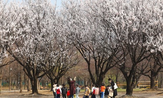 매화어린이집 이미지