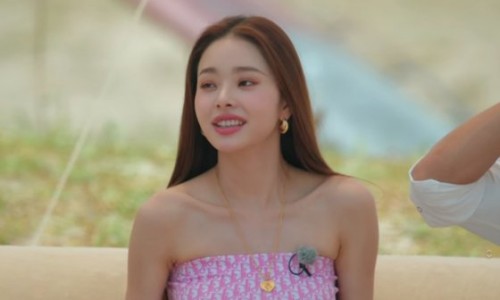 프리지아103 이미지