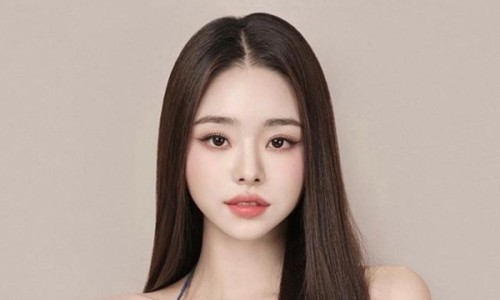 프리지아103 이미지