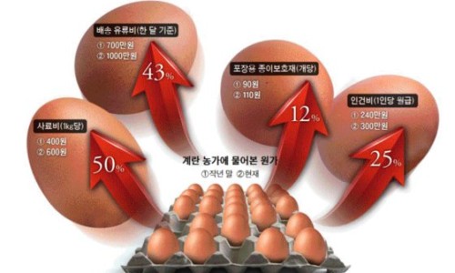 금란마트 이미지