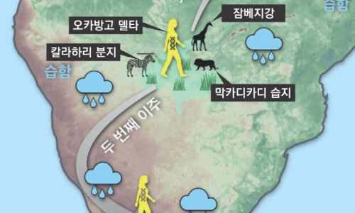 남부칼라 이미지