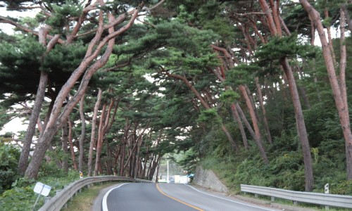상록원 이미지