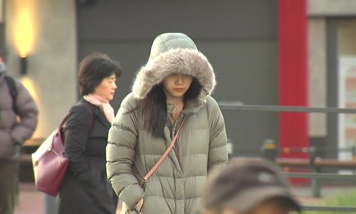 플레르망고 이미지