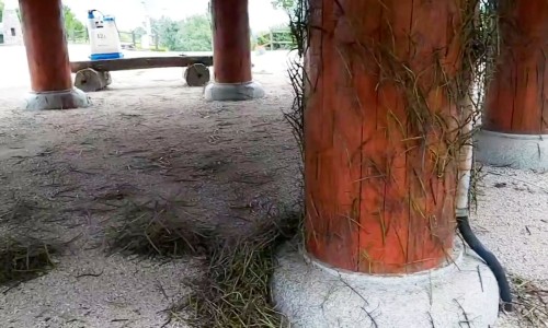 엘지봉산 이미지