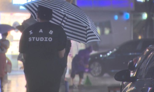 폭탄돼지 이미지